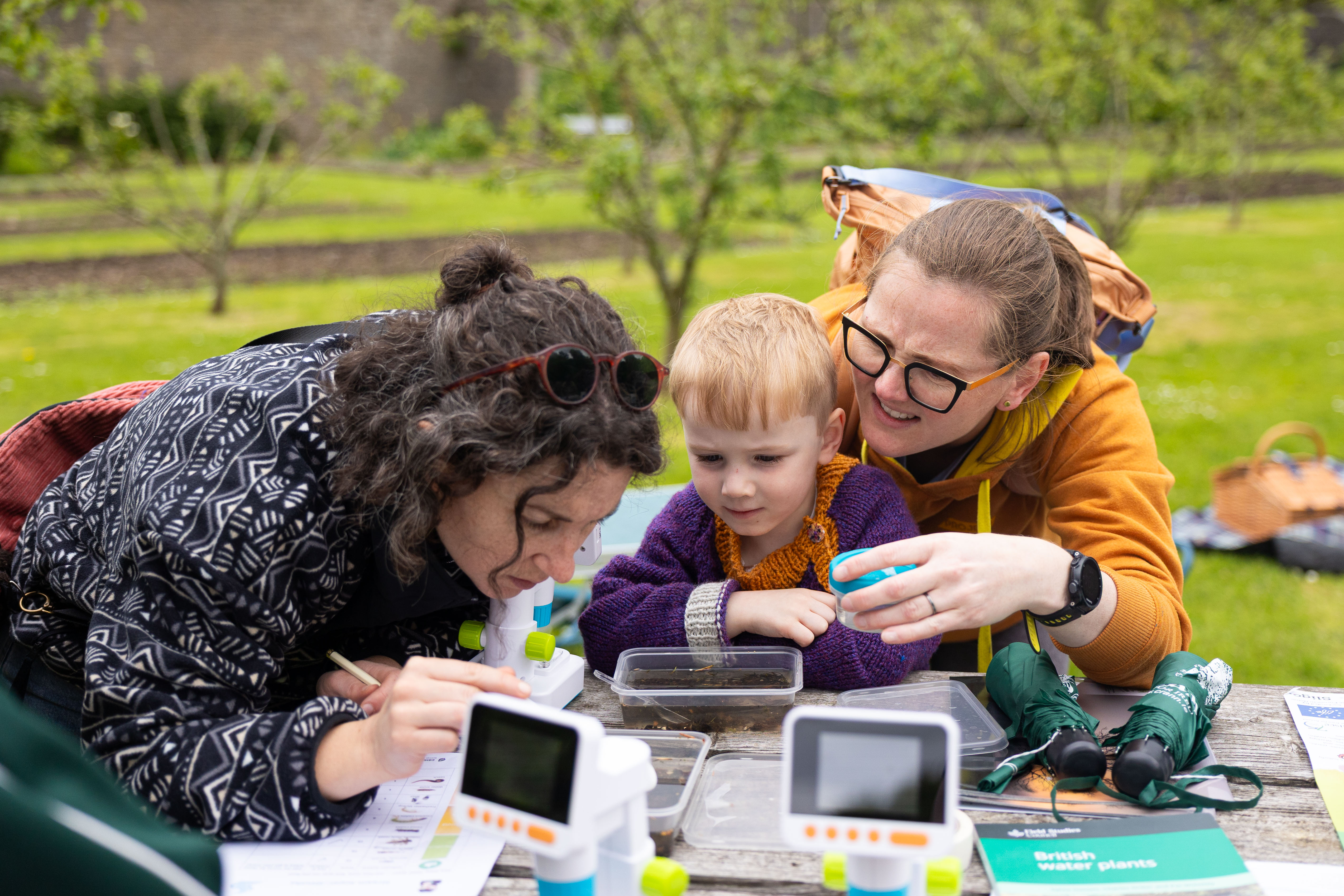 Aquatic insects at Kilglass Walled Garden 